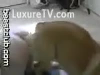 Dog copulates hawt bitch from behind his back